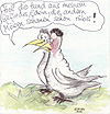 Möwen